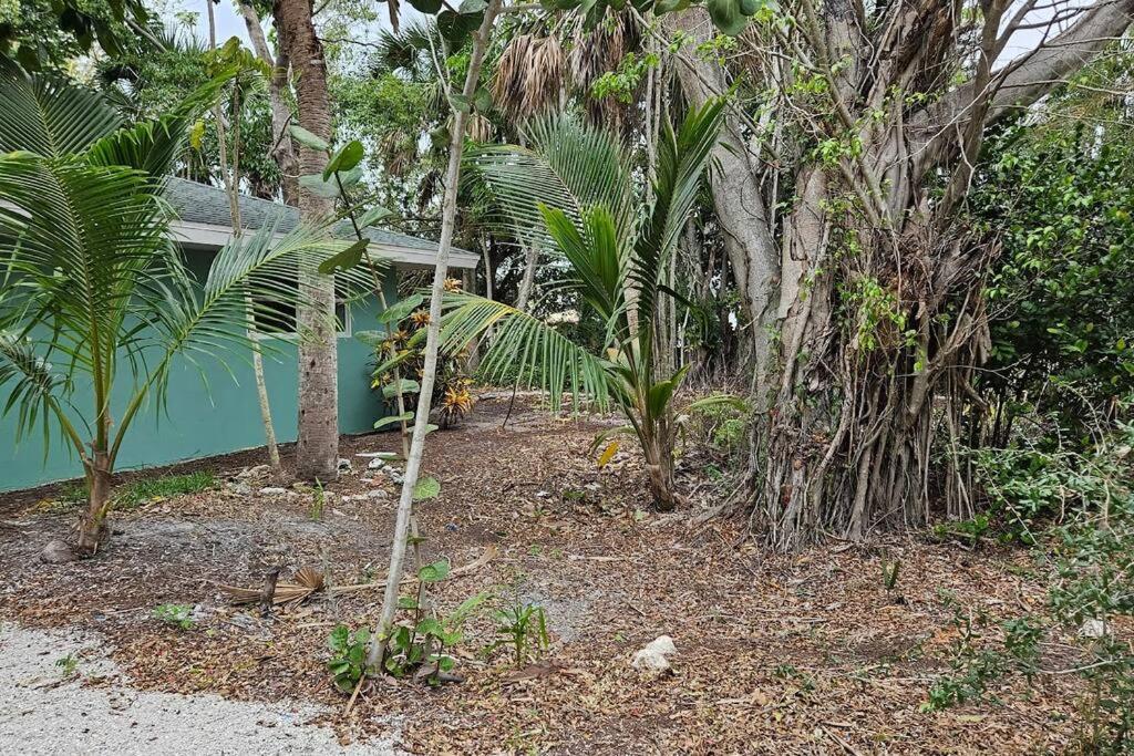 Blue Crab Dock On Gulf Canal Front Close 2 Beach Restaurants Bonita Springs Exterior photo